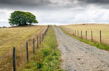 ein langer Weg symbolisiert die langjährige Erfahrung der Spezialisten des Sanitätshauses o.t.n